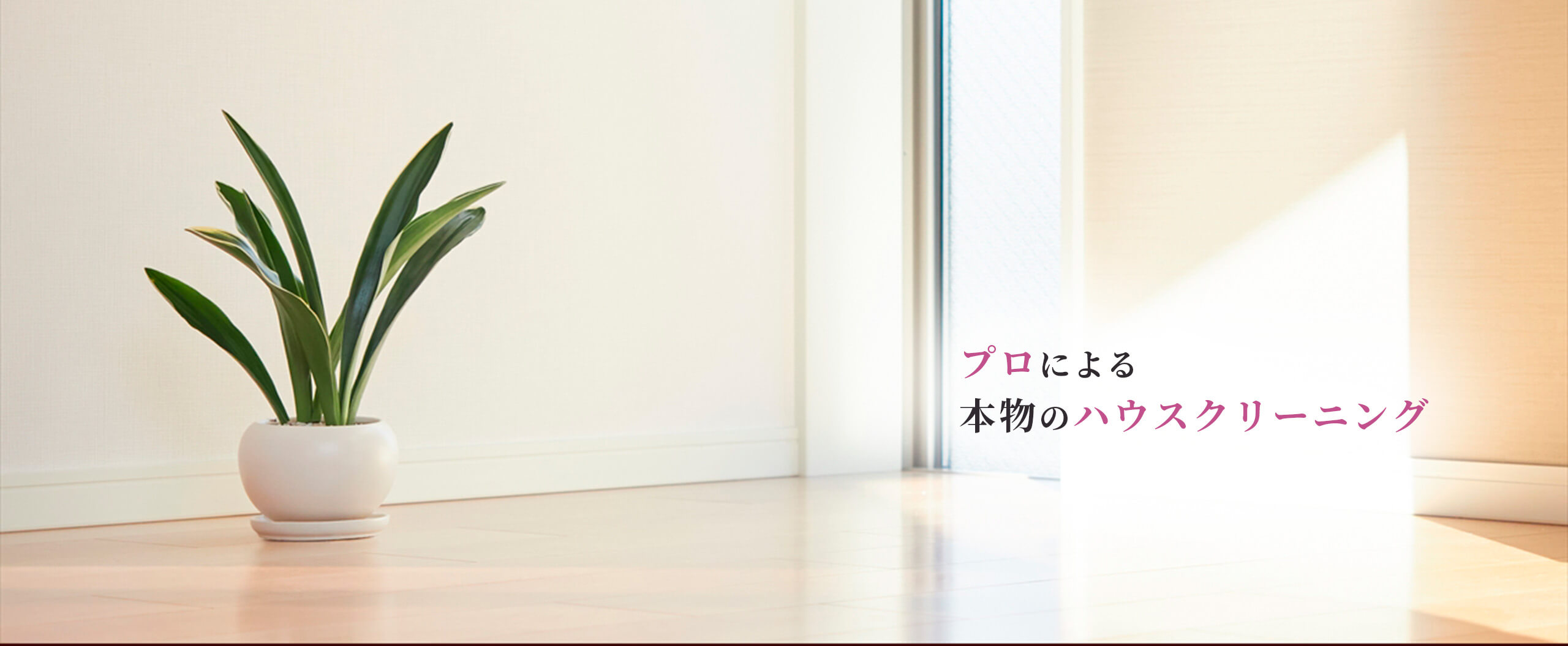 合同会社ディグル ハウスクリーニング