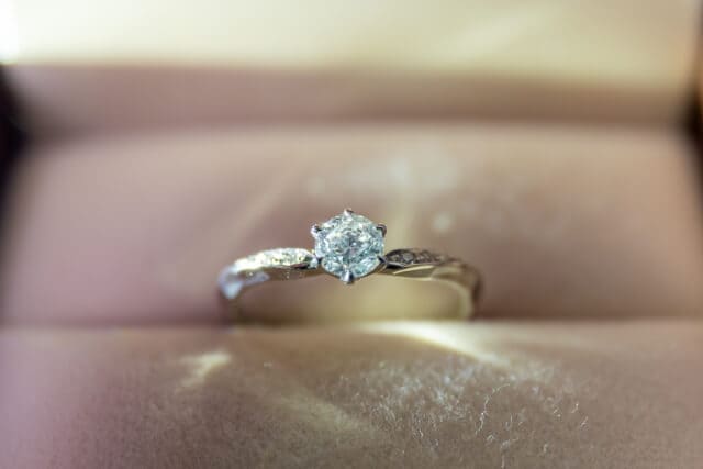 写真の説明を入れます